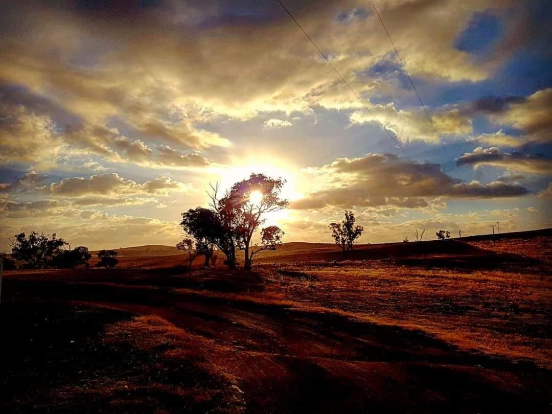 Wantana Cottage Farmstay Boorowa Buitenkant foto